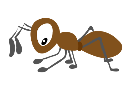 小蚂蚁与饼干的故事