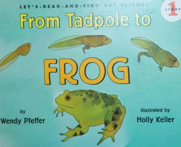 《From Tadpole to Frog从蝌蚪到青蛙》科普绘本pdf资源免费下载