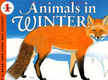 《Animals in Winter冬天里的动物》科普类英语绘本pdf资源免费下载
