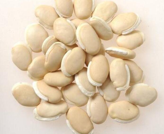 白扁豆的功效与作用及食用方法