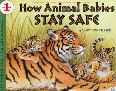 《How Animal Babies Stay Safe》科普类英语绘本pdf资源免费下载