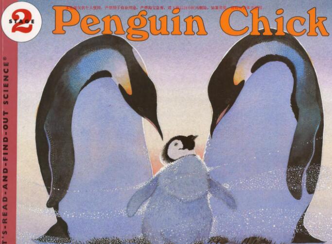 《Penguin Chick》科普类英文绘本pdf资源免费下载