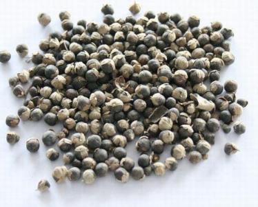 蔓荆子的功效与作用及禁忌