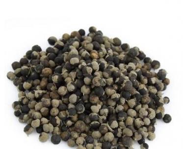 蔓荆子的功效与作用及禁忌