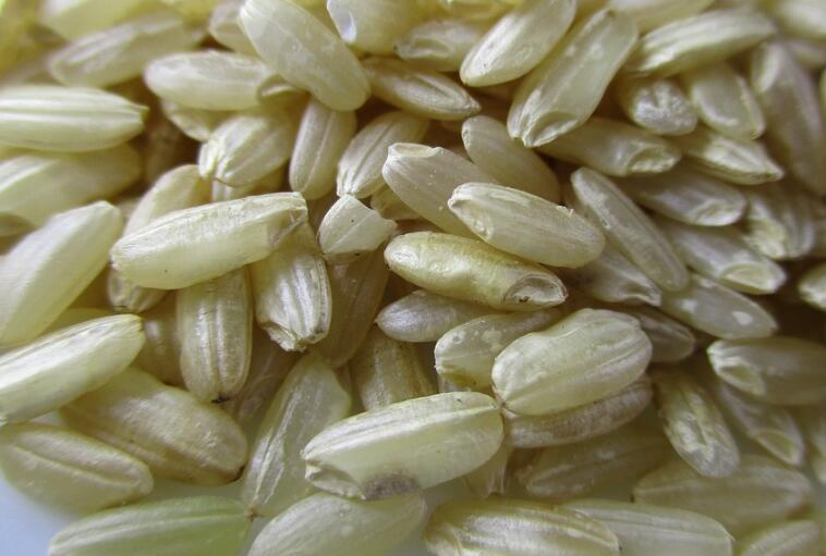 糙米怎么吃比较有营养