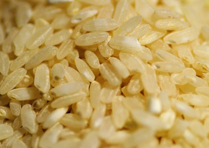 糙米热量高为什么减肥可以吃