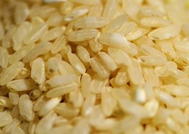 糙米热量高为什么减肥可以吃