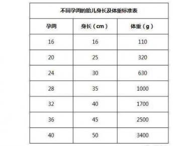 胎儿体重怎么计算 怎么算胎儿体重