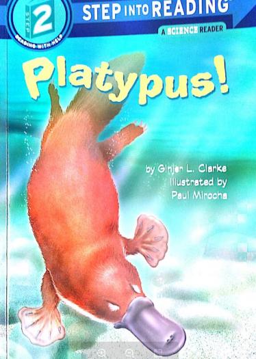 《Playtpus鸭嘴兽》英文绘本pdf资源免费下载