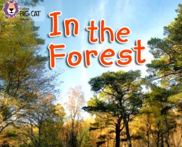 《In the Forest》英文绘本pdf资源免费下载