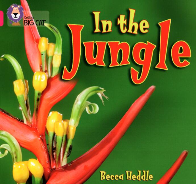 《In the Jungle》英文绘本pdf资源免费下载