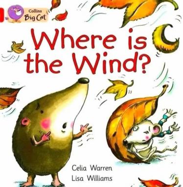 《Where is the Wind》英语绘本pdf资源免费下载