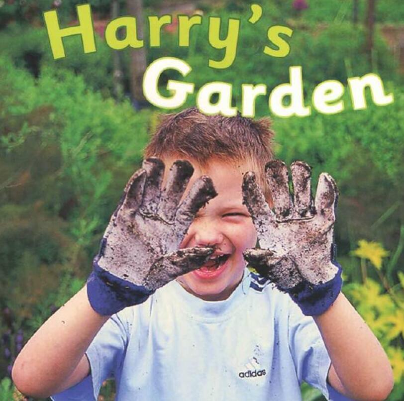 harrysgarden大貓分級繪本pdf資源免費下載