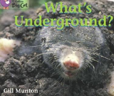 《What's Underground》大猫分级绘本pdf资源免费下载