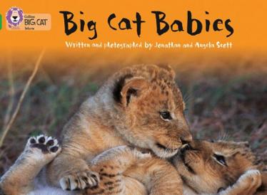 《Big Cat Babies》大猫分级绘本pdf电子版资源免费下载
