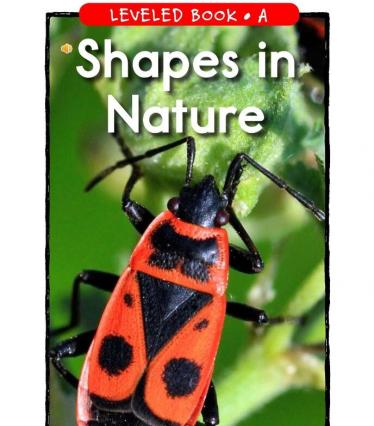 《Shapes in Nature》RAZ分级绘本pdf资源免费下载