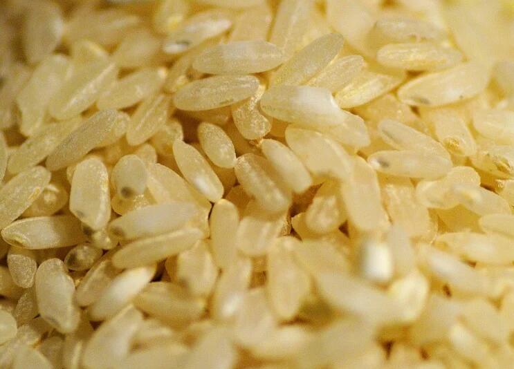 煮糙米饭的米水比例