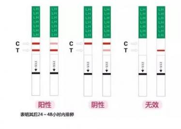 排卵试纸ct分别代表什么