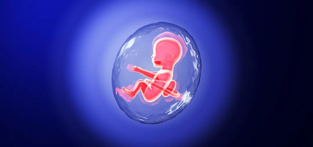 为什么胎停育越来越多 这5大原因让人防不胜防