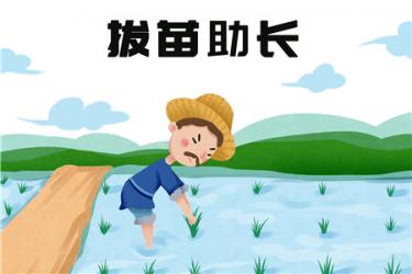 拔苗助长的故事