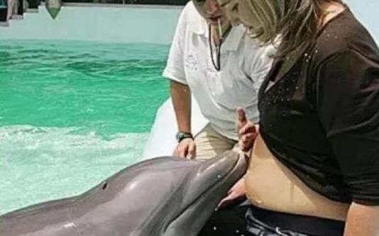 孕妇被海豚亲切地蹭肚子，去检查，医生：它的叫声被称为自然超声