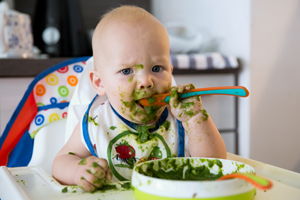 一周岁宝宝能不能吃黑米
