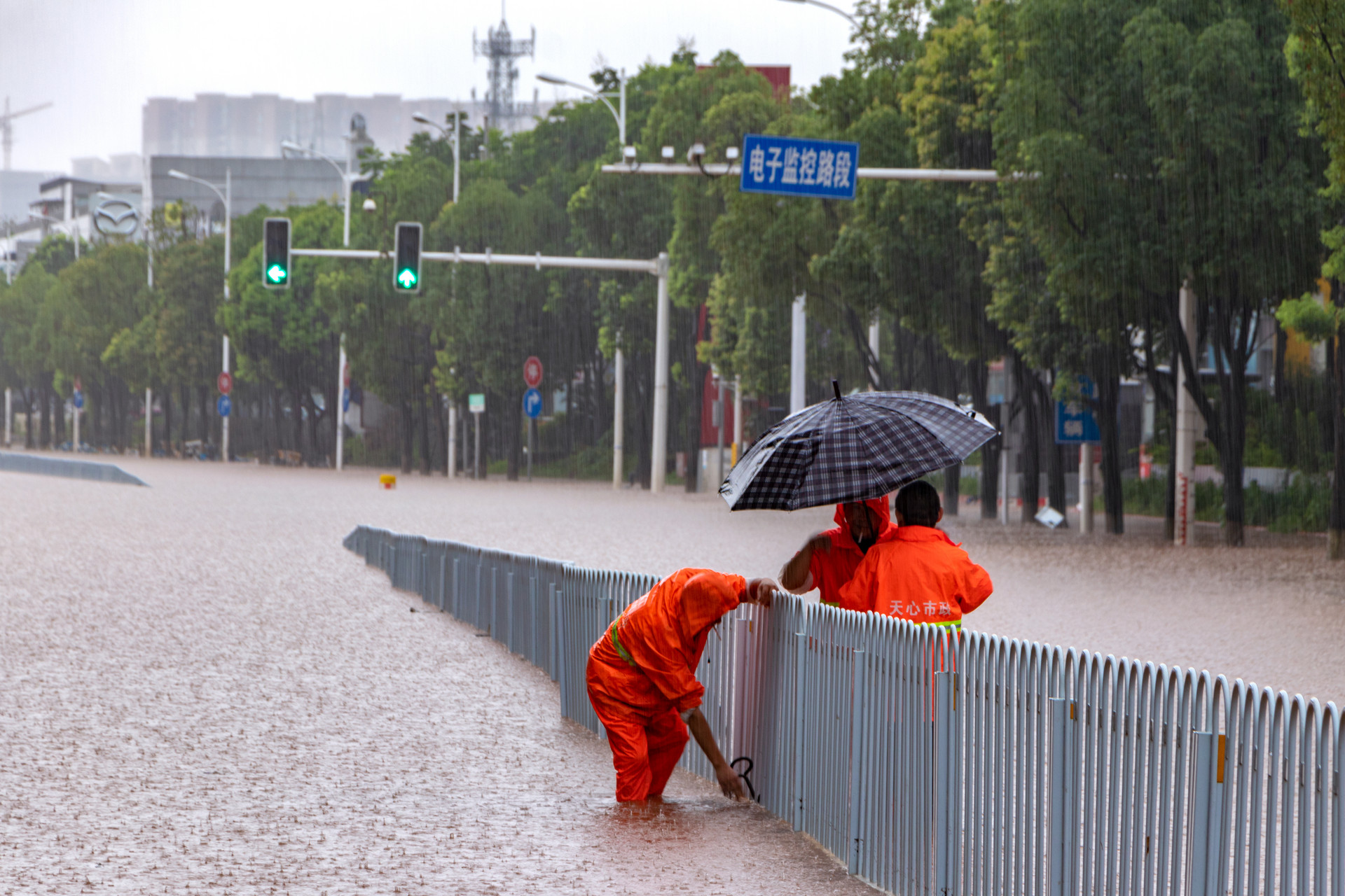 2021年暴雨过后作文