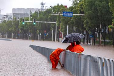 2021年暴雨过后作文