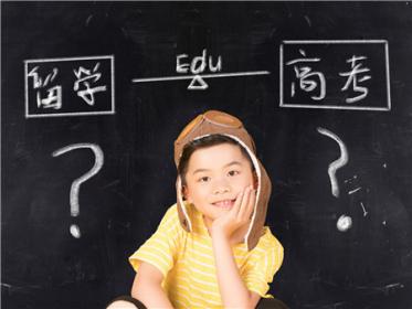 都是什么惹的祸作文600字