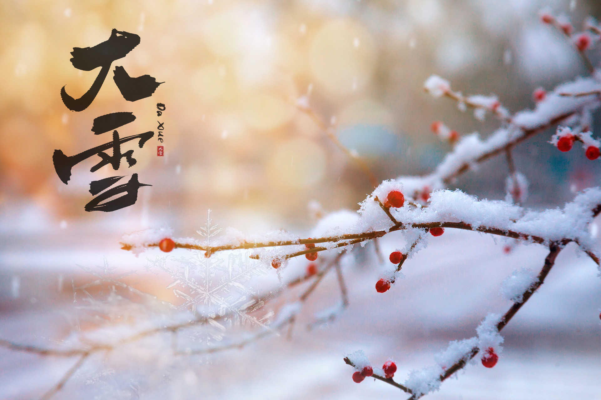 关于大雪节气的作文800字