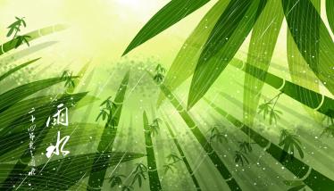 雨水节气的作文400字