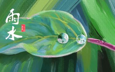 雨水节气的作文400字