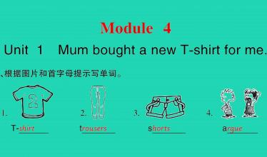 2021秋五年级英语上册Module 4 Unit 1 Mum bought a new T-shirt for me习题课件PPT免费下载