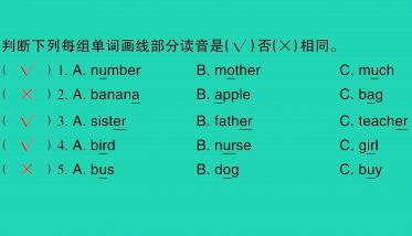 2021秋五年级英语上册Module 2 Unit 2 How much cheese did you buy习题课件PPT免费下载