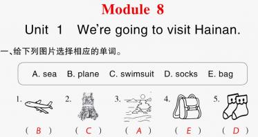 2021秋四年级英语上册Module 8 Unit 1 We're going to visit Hainan习题课件PPT免费下载