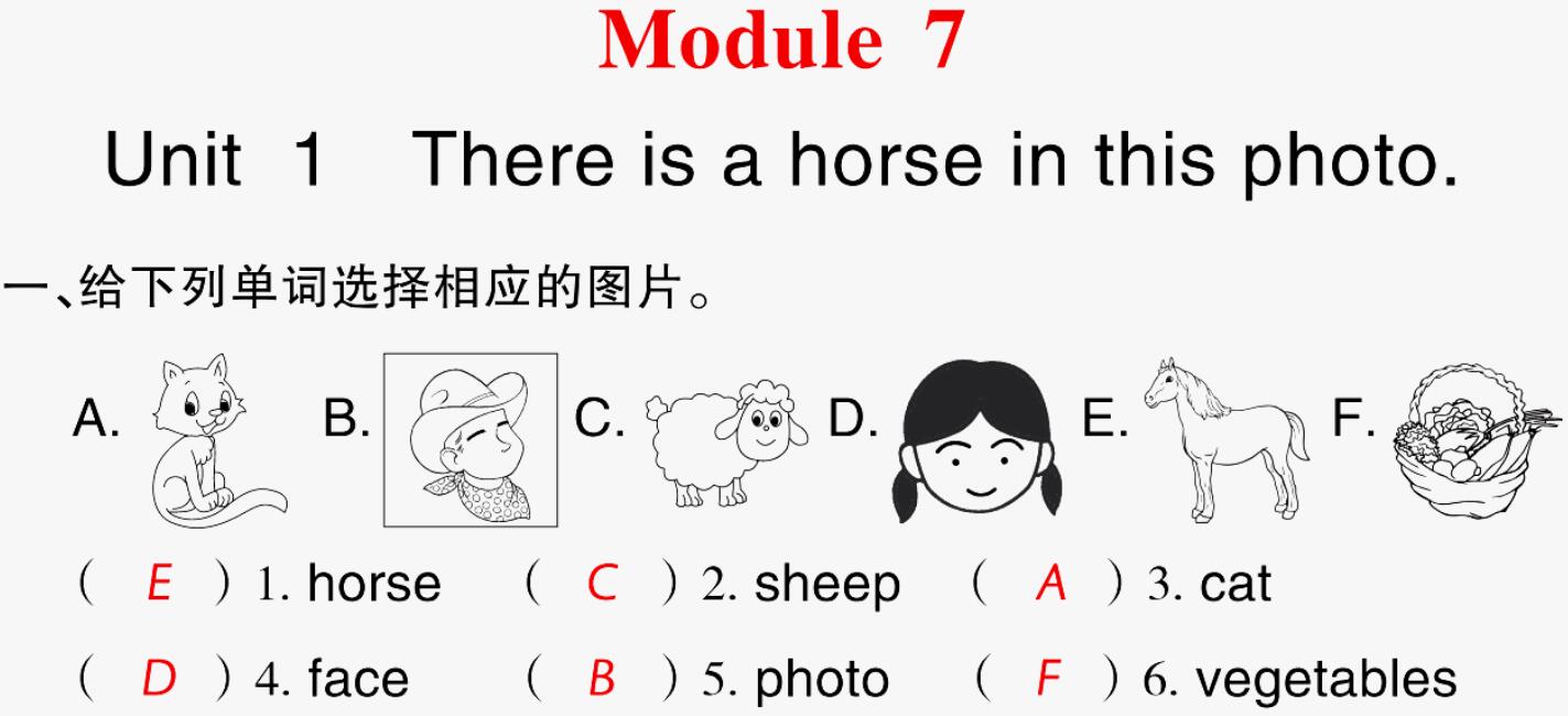 2021秋四年级英语上册Module 7 Unit 1 There is a horse in this photo习题课件PPT免费下载