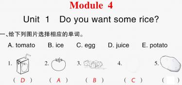2021秋四年级英语上册Module 4 Unit 1 Do you want some rice习题课件PPT免费下载