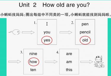 2021秋三年级英语上册Module 6 Unit 2 How old are you习题课件PPT免费下载