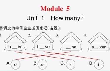 2021秋三年级英语上册Module 5 Unit 1 How many习题课件PPT免费下载
