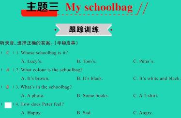 2021小考英语满分特训主题三My schoolbag(练)课件PPT免费下载