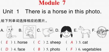 2021秋四年级英语上册Module 7 Unit 1 There is a horse in this photo习题课件PPT免费下载