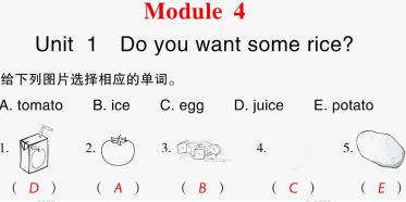 2021秋四年级英语上册Module 4 Unit 1 Do you want some rice习题课件PPT免费下载