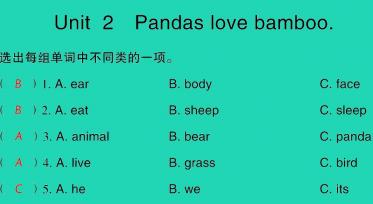 2021秋六年级英语上册Module 7 Unit 2 Pandas love bamboo习题课件PPT免费下载