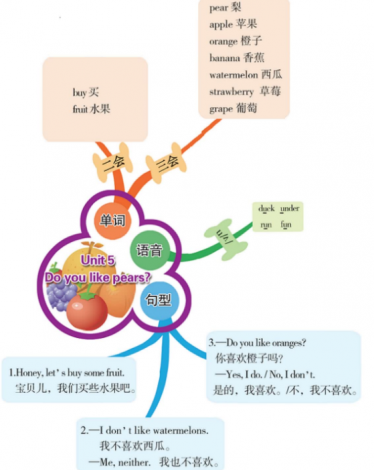 人教pep三年级英语下册第五单元思维导图