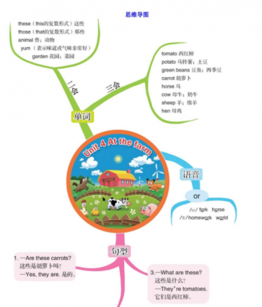 人教PEP版四年级英语下册第四单元思维导图