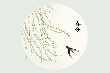 临江仙·柳絮的译文和赏析