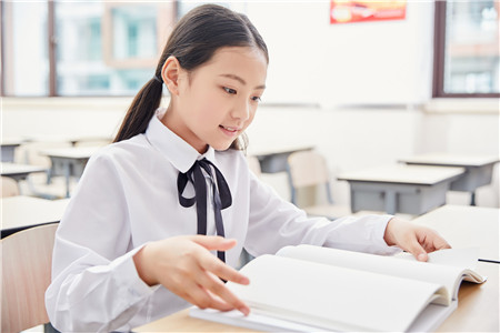 生活需要宽容800字作文