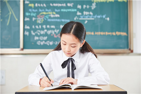 我发现了美作文600字