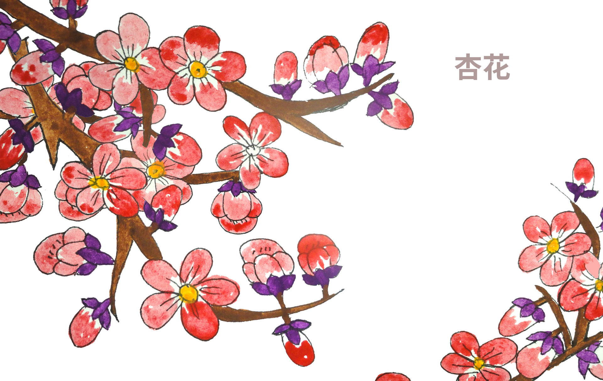 云露堂前杏花古诗带拼音 云露堂前杏花翻译