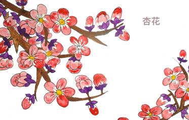 云露堂前杏花古诗带拼音 云露堂前杏花翻译